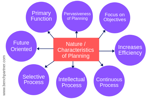 13 Features/Characteristics of Planning - BokasTutor